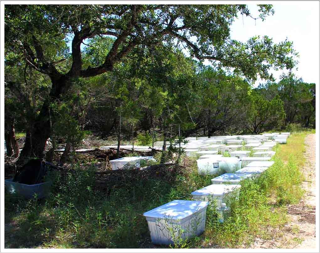 Land Art showing white bixes with miniature living forests inside