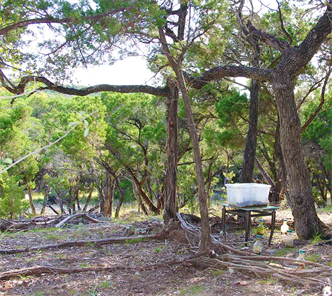 Land Art Artist DAPACU